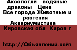 Аксолотли / водяные драконы › Цена ­ 500 - Все города Животные и растения » Аквариумистика   . Кировская обл.,Киров г.